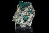 Large, Gemmy Dioptase Crystals On Calcite - Kazakhstan #78851-1